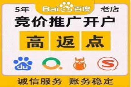 搜索引擎营销（SEM）在电商行业的投放策略案例